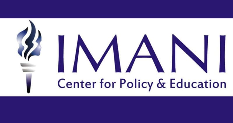 IMANI opens applications for 12th SYPALA summer seminar