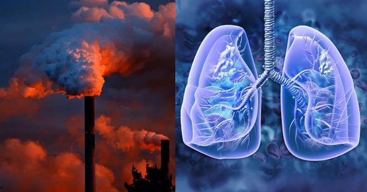 Air Pollution responsible for a third of stroke, lung cancer and neonatal deaths in Ghana — 2025 SoGA Report