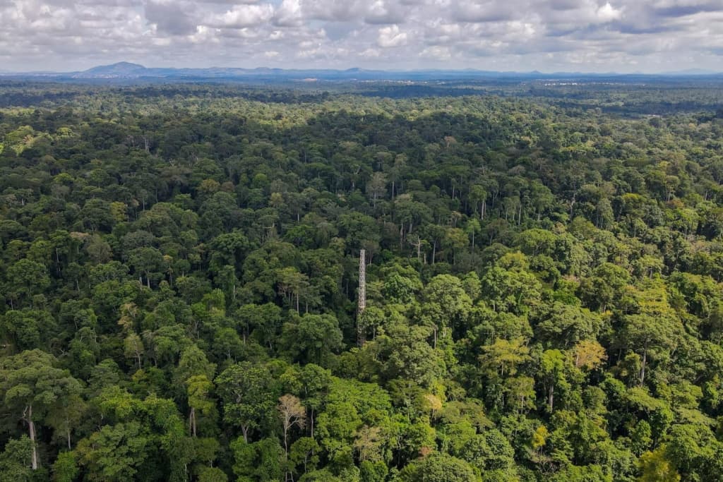 Ghana marks World Wildlife Day 2026 with focus on medicinal and aromatic plants